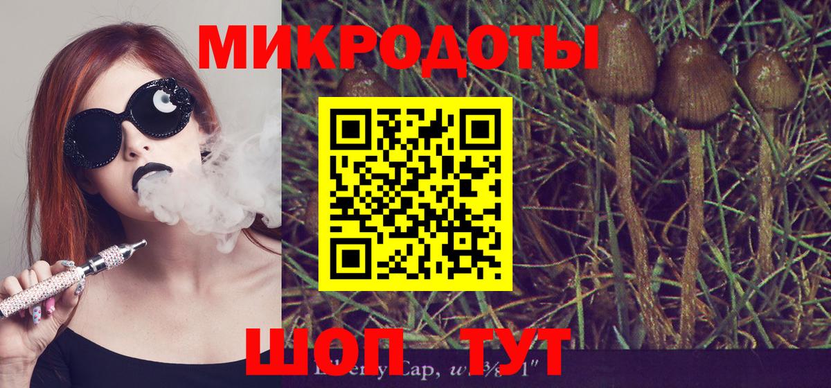 Галлюциногенные грибы прущие грибы Сосновоборск