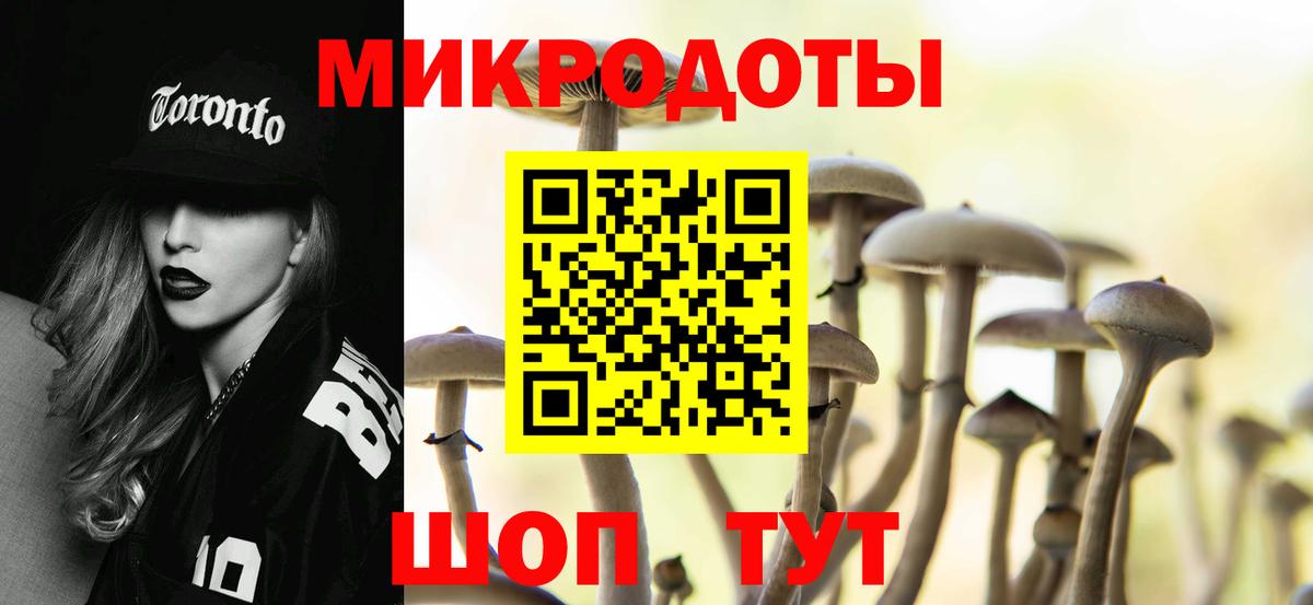 Псилоцибиновые грибы Psilocybine cubensis  Галлюциногенные грибы прущие грибы  Вход с VPN  Сосновоборск 